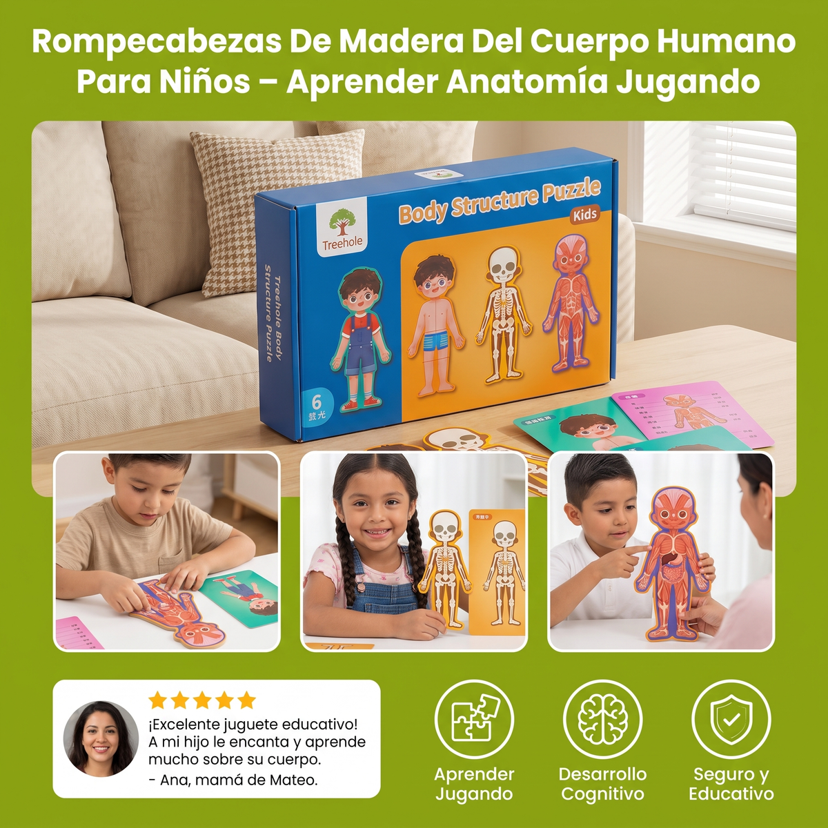 Rompecabezas De Madera Del Cuerpo Humano Para Niños – Aprender Anatomía Jugando