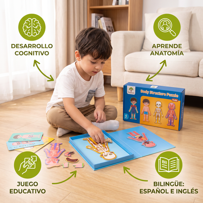 Rompecabezas De Madera Del Cuerpo Humano Para Niños – Aprender Anatomía Jugando