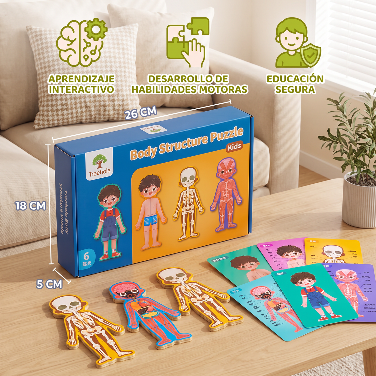Rompecabezas De Madera Del Cuerpo Humano Para Niños – Aprender Anatomía Jugando