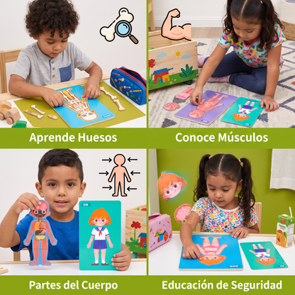Rompecabezas De Madera Del Cuerpo Humano Para Niños – Aprender Anatomía Jugando
