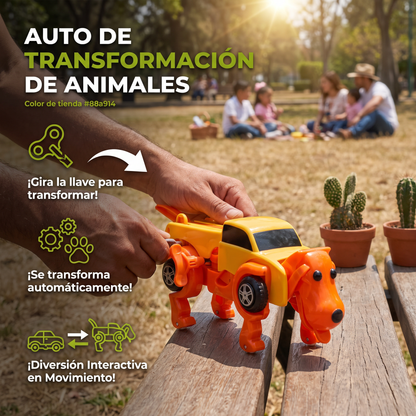 Auto De Transformación De Animales Con Cuerda De Arrastre