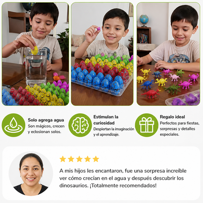 Set De Huevos De Dinosaurio Que Eclosionan – Huevos De Dinosaurio Que Crecen En Agua Con Sorpresa