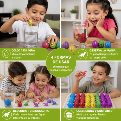 Set De Huevos De Dinosaurio Que Eclosionan – Huevos De Dinosaurio Que Crecen En Agua Con Sorpresa