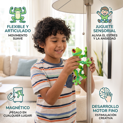 Juguete fidget de rana flexible magnético impreso en 3D